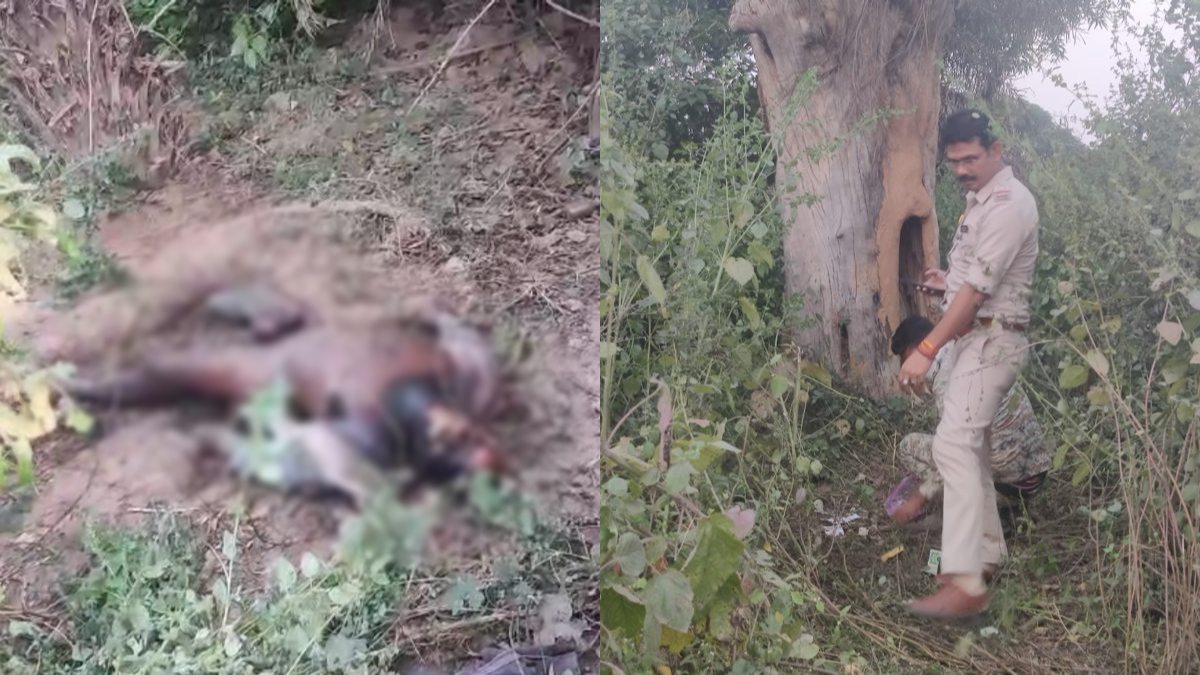 CG Crime: सड़क किनारे झाड़ियों में मिली युवक की सड़ी गली लाश, इलाके में फैली सनसनी, शिनाख्त में जुटी पुलिस