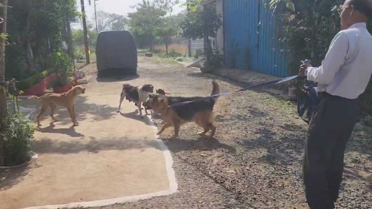 फिर टूटे ताले: पांच घरों को चोरों ने बनाया निशाना, वारदात को अंजाम देकर हुए फरार, जांच में जुटी पुलिस
