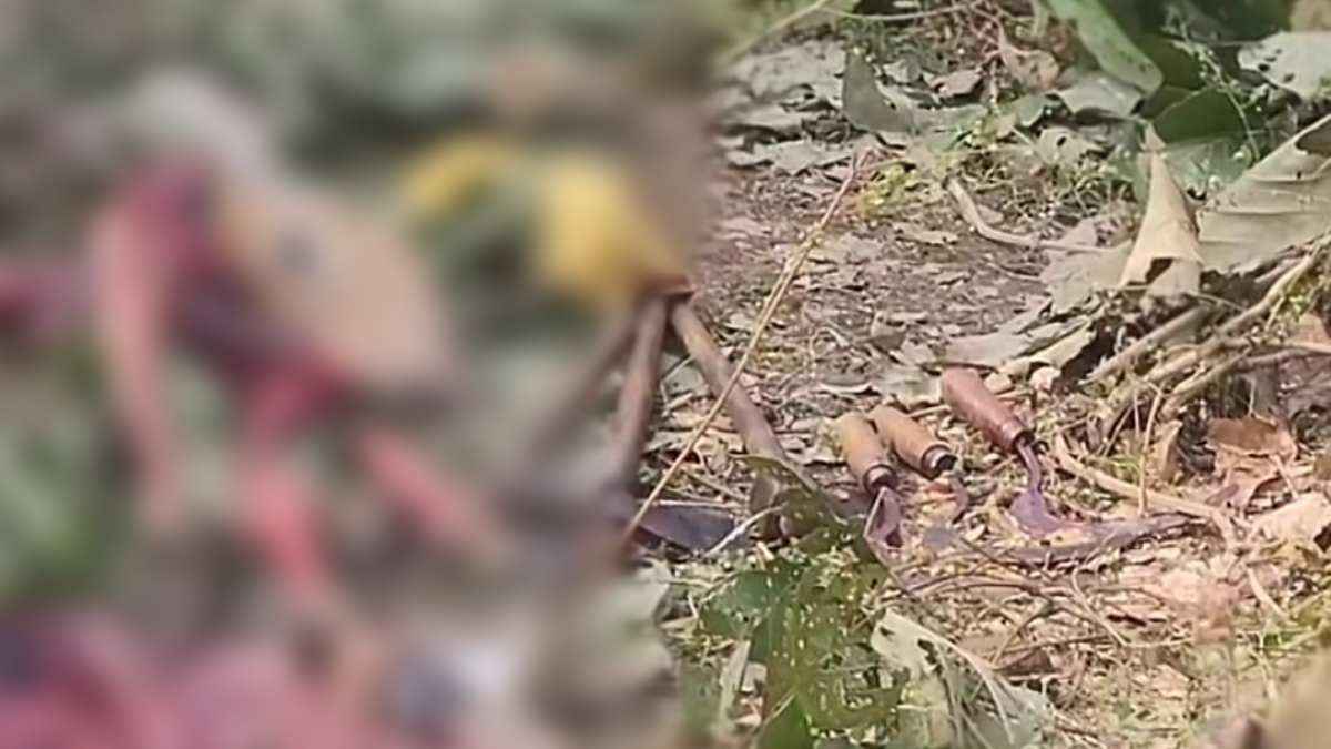वन्य प्राणी का शिकार: फॉरेस्ट अमला को देख नीलगाय के शरीर के टुकड़े छोड़ भागे बदमाश, सात आरोपियों के खिलाफ मामला दर्ज