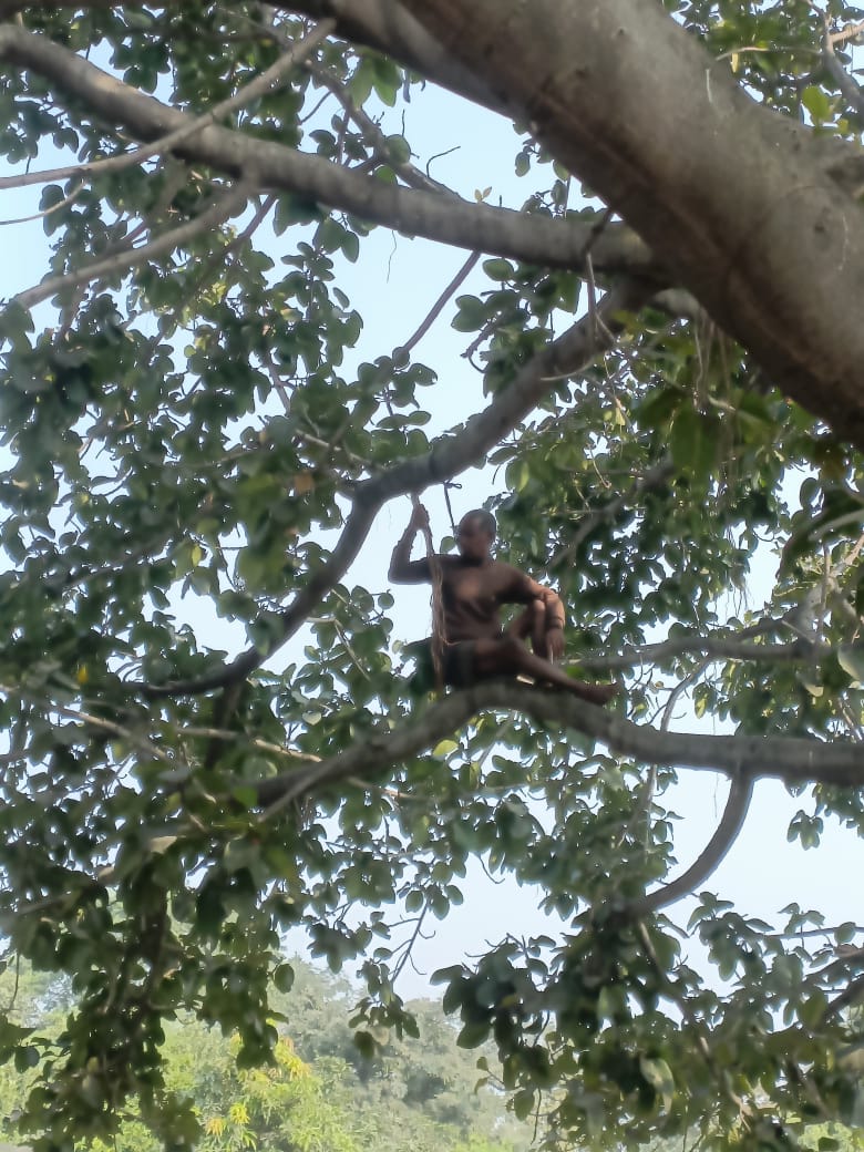CG News:  पत्नी बच्चे छोड़कर चले गए…  पेड़ पर चढ़कर बुजुर्ग ने दी आत्महत्या की धमकी, देंखे वीडियो