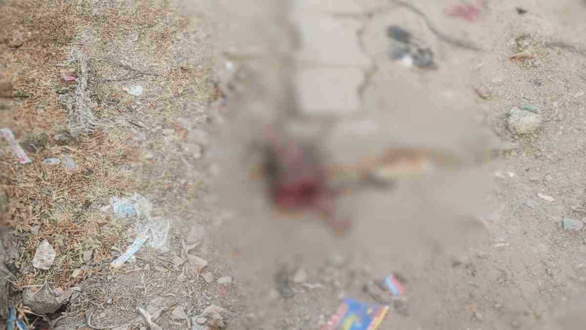 अस्पताल के सामने मिला धड़ से सिर अलग नवजात का शव, क्षेत्र में फैली सनसनी, जांच में जुटी पुलिस