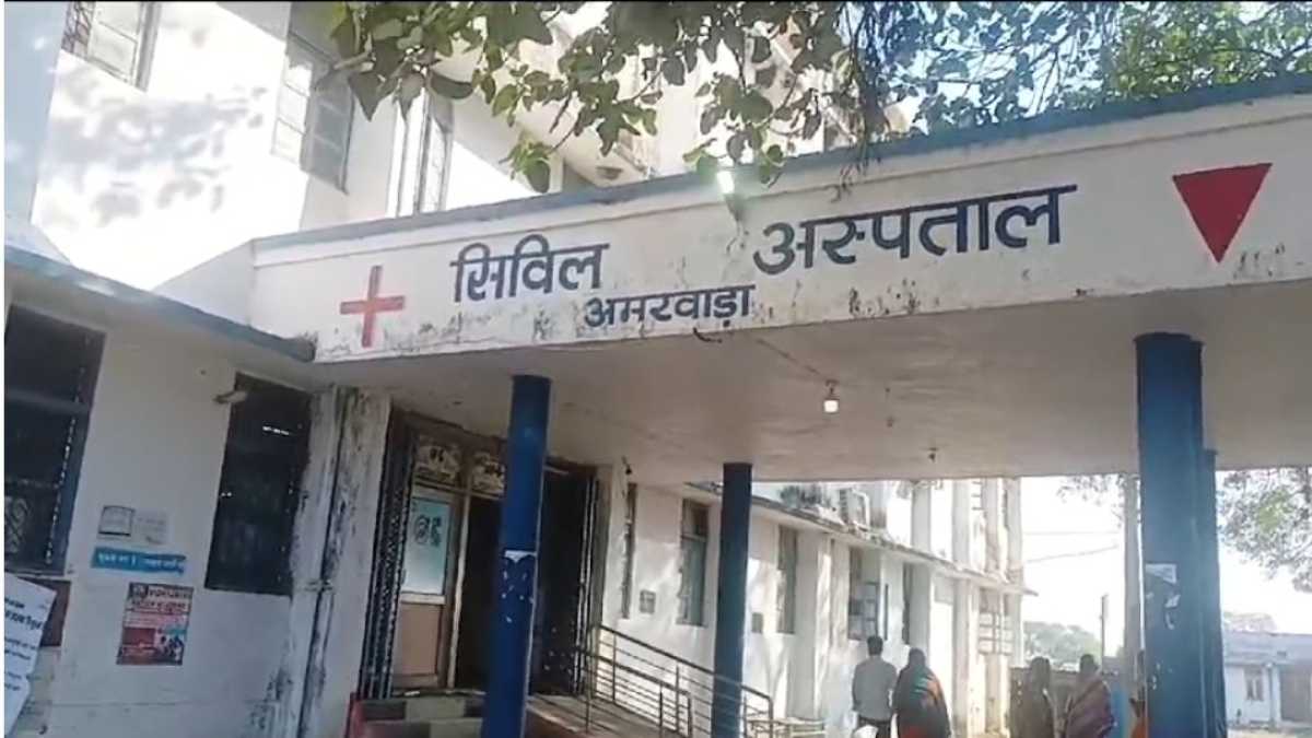 जंगली सूअर का आतंक: दो ग्रामीण पर किया जानलेवा हमला, आधा दर्जन मवेशियों को भी किया घायल, मौके पर वन विभाग की टीम मौजूद