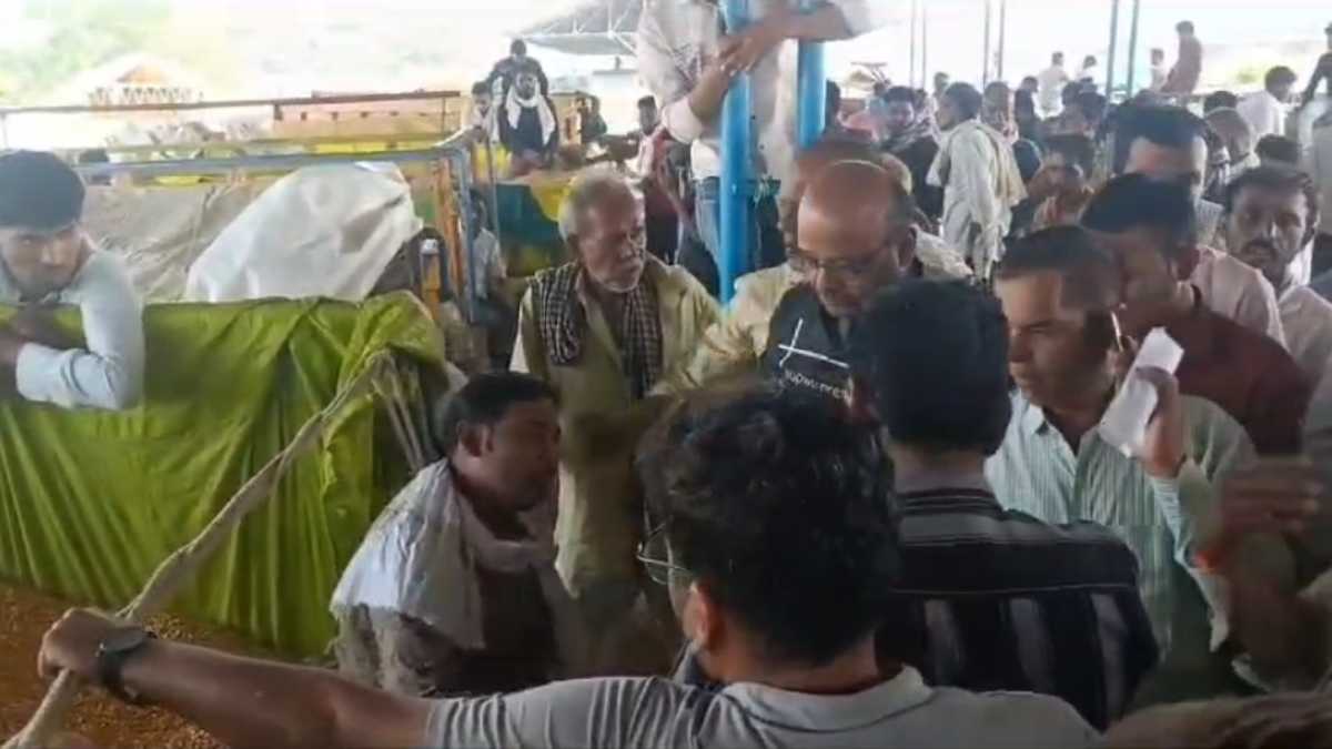 उपज मंडी में मक्का की बंपर आवक: एक हजार से अधिक ट्रैक्टर-ट्रॉली लेकर पहुंचे किसान, अच्छे भाव मिलने से खिले किसानों के चेहरे