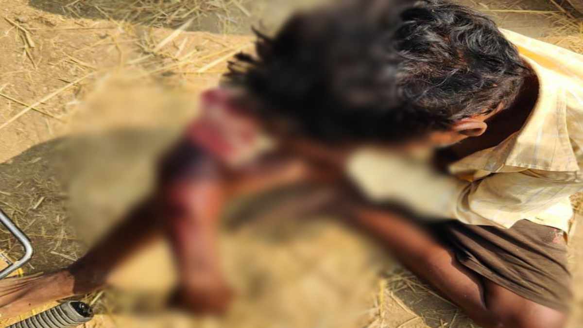 तेंदुए के बाद पन्ना में भालू का खौफ: खेत जा रहे किसान पर किया हमला, इस तरह बचाई जान