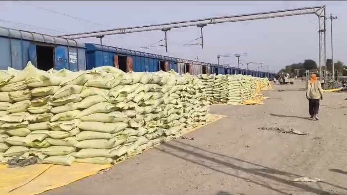 खाद किल्लत से मिलेगी राहत: सिंधिया के प्रयासों से किसानों को मिली 3600 मीट्रिक टन DAP खाद की सौगात, खुशी का माहौल