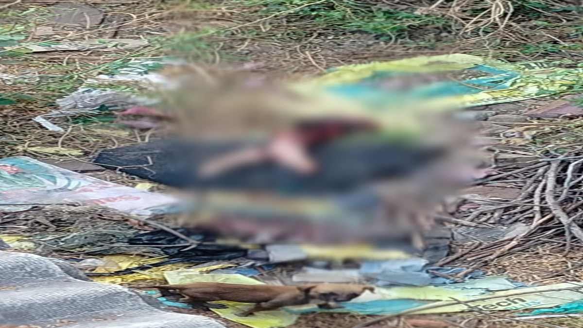 Crime News: खेत में मिला खून से लथपथ नवजात का शव, क्षेत्र में फैली सनसनी, जांच में जुटी पुलिस