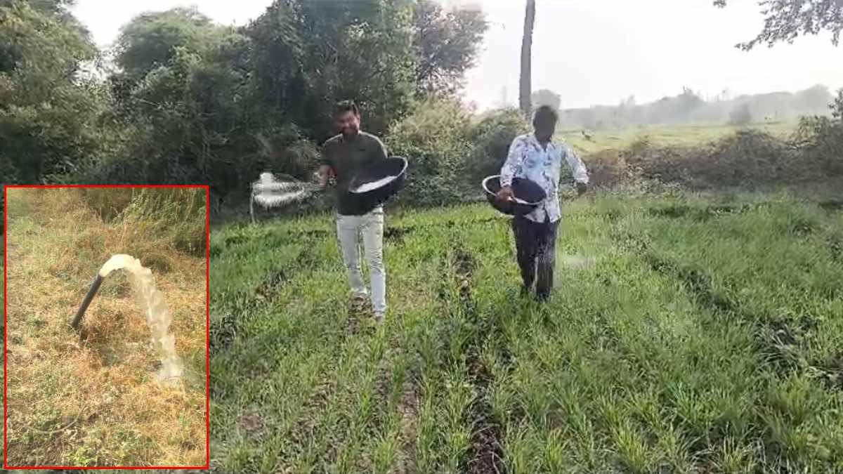 किसानों के खेतों में पहुंचा नर्मदा का पानी: 741 हेक्टयर की फसलें में होगी सिंचाई, ग्रामीणों के चेहरे पर आई रौनक