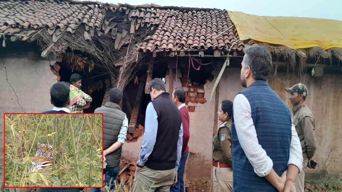 पहले हाथियों का आतंक, अब बाघ ने फैलाई दहशत: ग्रामीणों में दहशत का माहौल, वन विभाग हुआ सक्रिय