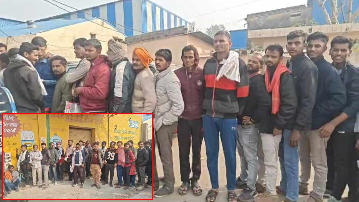 कब दूर होगी खाद की किल्लत? घंटों लाइन में लगने के बाद भी खाली हाथ लौट रहे किसान, अधिकारियों पर लगे लापरवाही के आरोप