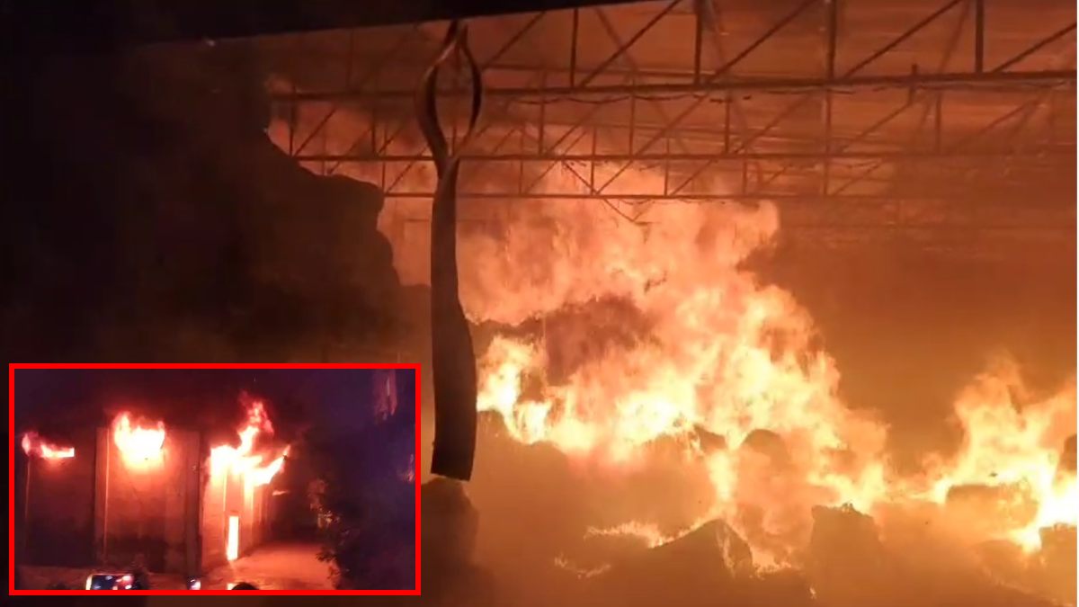 बारदाना गोदाम में लगी भीषण आग: दीवार तोड़कर अंदर घुसे दमकलकर्मी, कड़ी मशक्कत के बाद आग पर पाया काबू