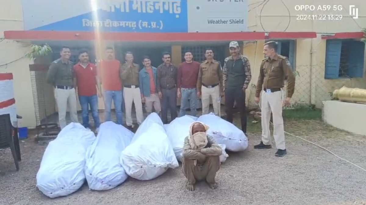 पुलिस ने की बड़ी कार्रवाई: किसान के खेत से जब्त किए 84 अवैध गांजा के पेड़, 3 लाख बताई कीमत