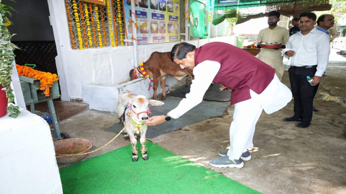 MP की हाईटेक गौशाला में एकसाथ रहेंगी 10 हजार गायः डेटा रहेगा ऑनलाइन, बनेगा मिनी अस्पताल, सीएम कल रखेंगे आधारशिला