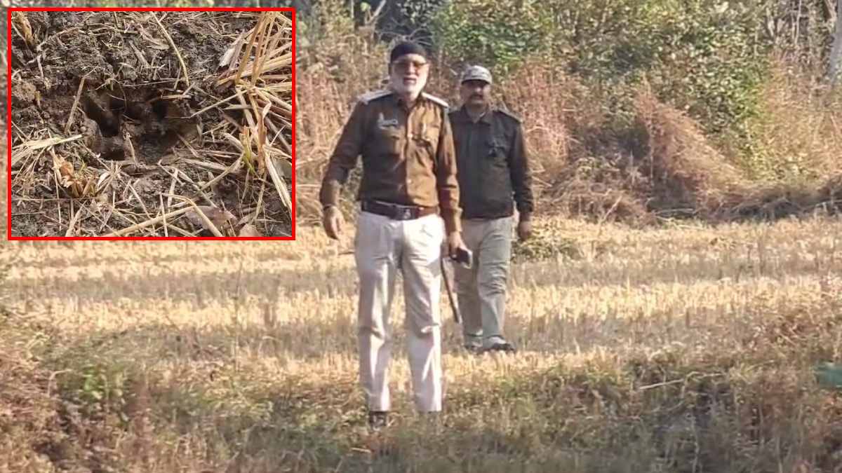 रिहायशी इलाके में बाघ का मूवमेंट: ग्रामीणों में दहशत का माहौल, वन विभाग ने लोगों से की ये अपील