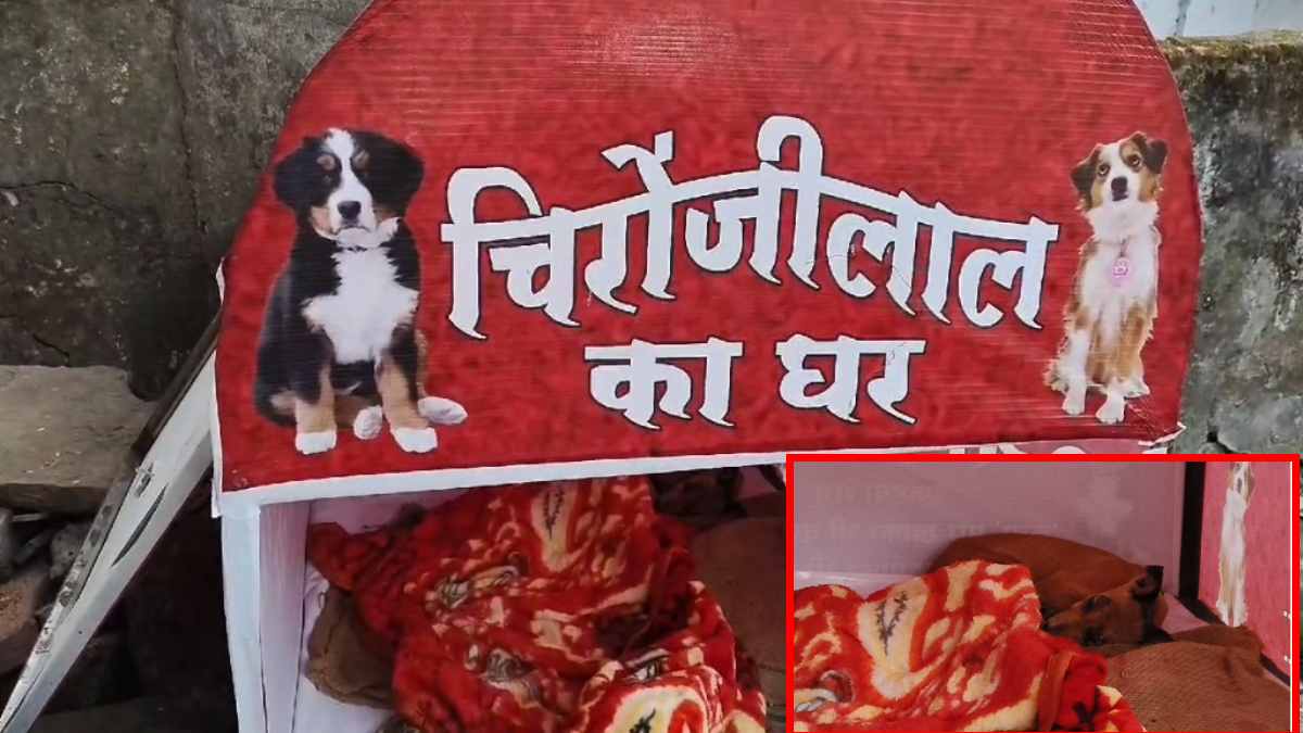 ठंड से ठिठुर रहे घायल बेजुबान को मिला नया ‘आशियाना’, शख्स ने पेश की पशु-प्रेम की अनूठी मिसाल, कहा- मां के दर्द से जाना असल ‘दर्द’