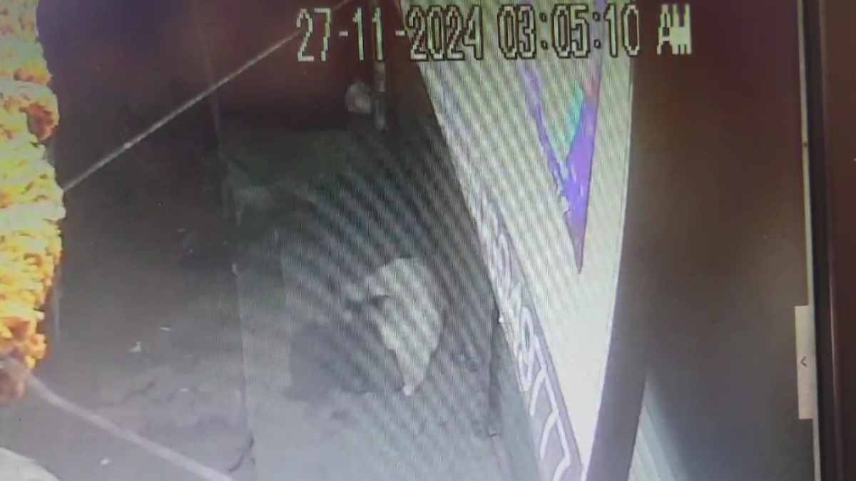 कैमरे में कैद हुआ मौत का मंजर: ठंड ने ली अधेड़ की जान, 10 डिग्री के नीचे पहुंचा पारा