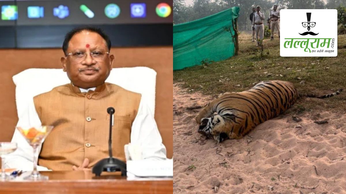 कोरिया में बाघ की मृत्यु पर CM साय के कड़े तेवर: वनरक्षक राजवाड़े और वनपाल सिंह निलंबित, वन क्षेत्रपाल से स्पष्टीकरण तलब