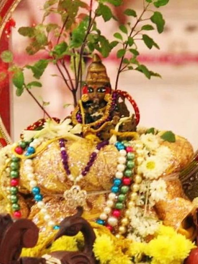 Tulsi Vivah 2024 Date: कब है तुलसी विवाह? जानिये सही डेट और मुहूर्त