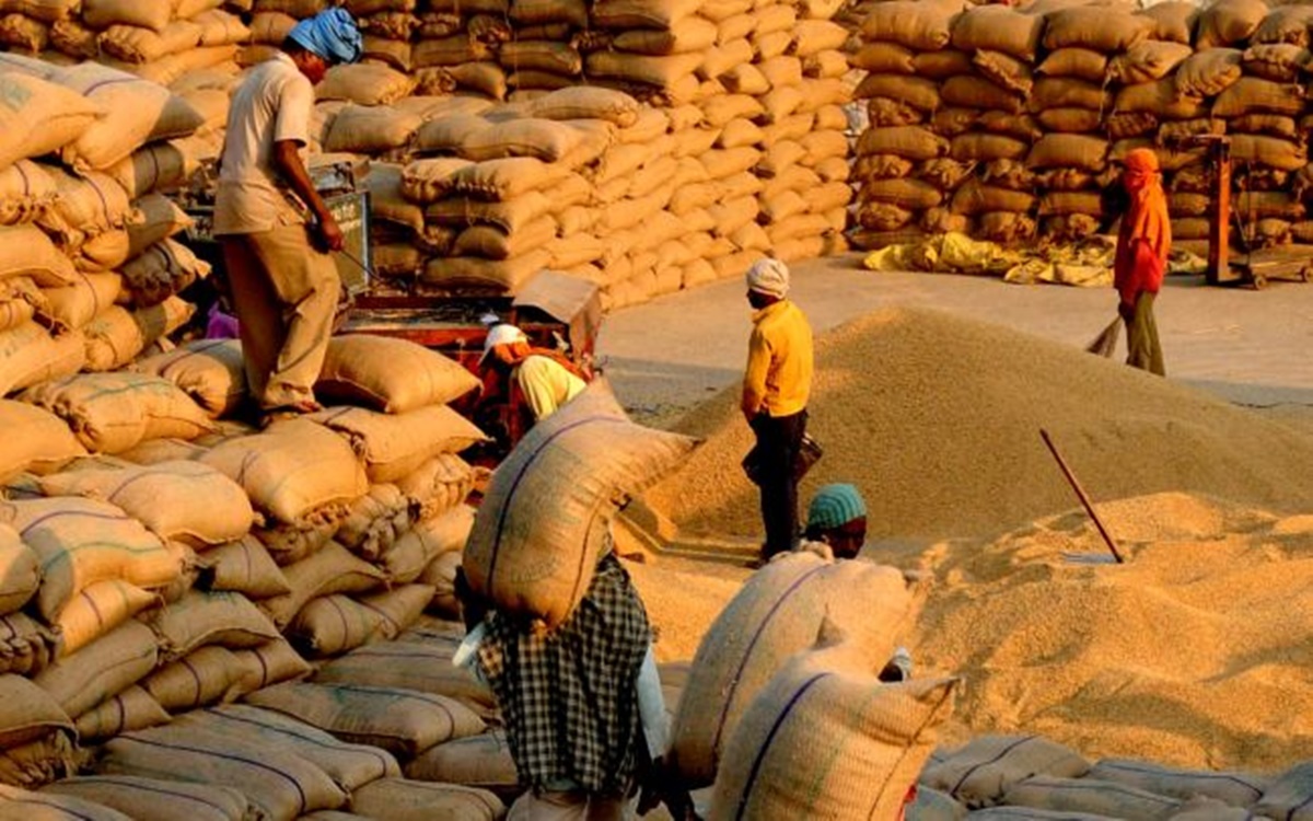 MP News: धान के लिए 1412 और मोटा अनाज के लिए बनाए गए 104 उपार्जन केन्द्र, जानिए कब से शुरू होगी खरीदी 