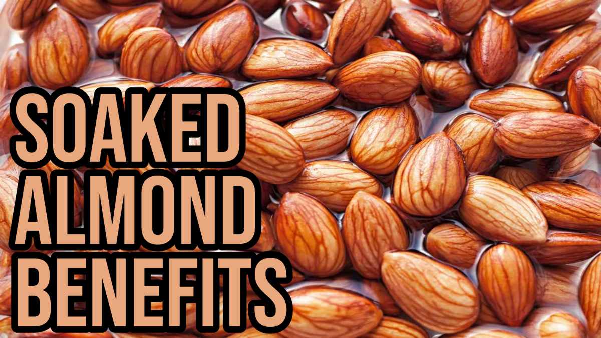 Soaked Almond Benefits: रोज एक मुट्ठी खाएं, और हफ्ते भर में सेहत में होगा शानदार बदलाव…