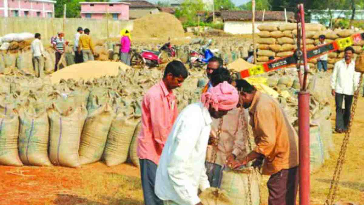 छत्तीसगढ़ में 8.95 लाख मीट्रिक टन धान की हुई खरीदी, किसानों को 1575.16 करोड़ का भुगतान
