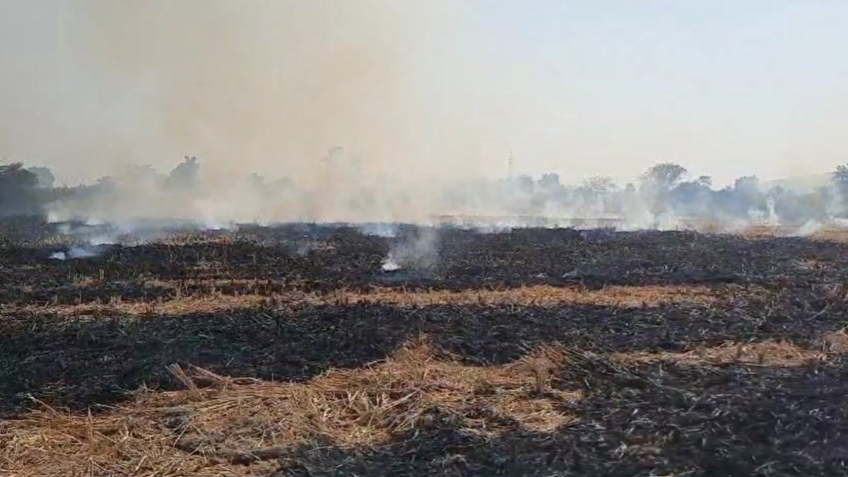पराली जलाने का मामलाः अधिवक्ता संघ के बयान के खिलाफ उतरा भारतीय किसान संघ, बोले-आतंकी छुड़ाने आधी रात कोर्ट खुल जाता है, किसान उससे भी गया बीता