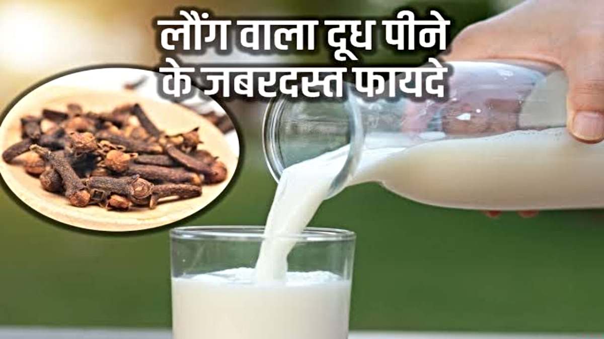 Long ka Doodh Peene ke Fayde: एक बार पीकर देखें लौंग वाला दूध और देखें इसके चमत्कारी फायदे…