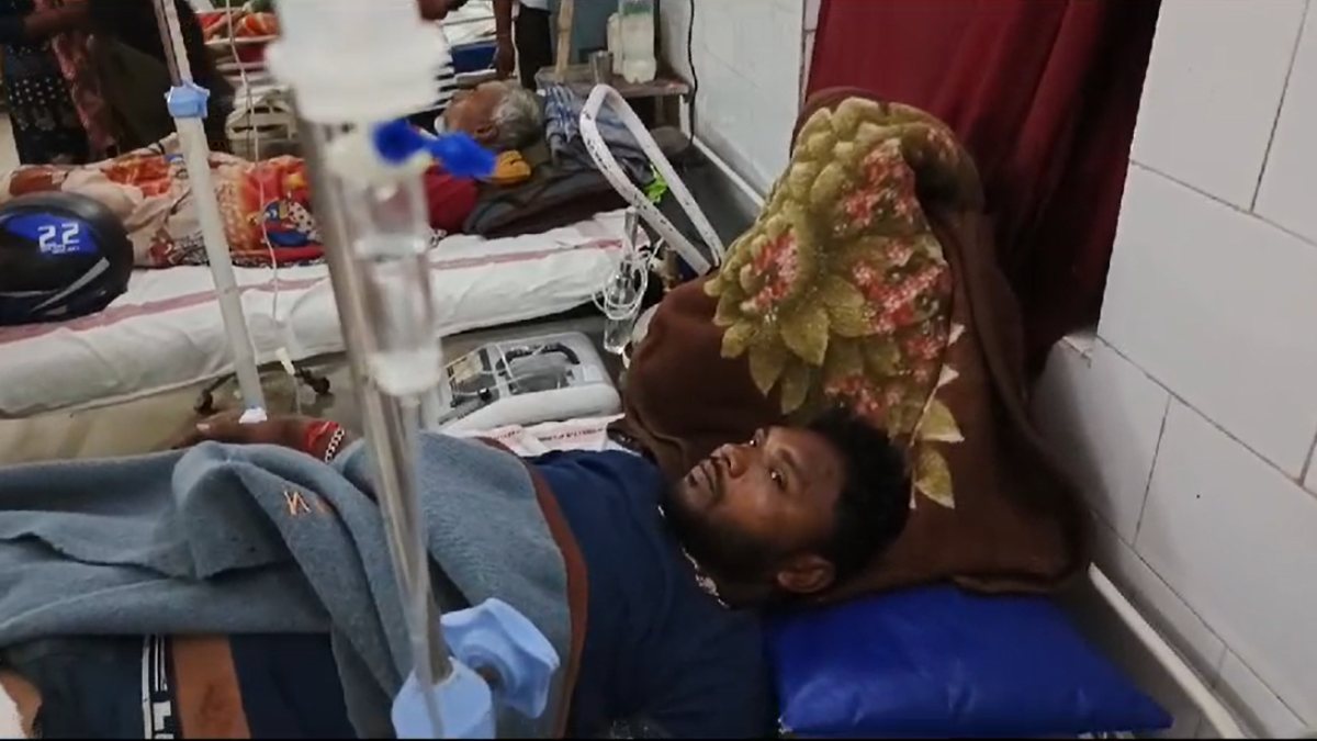 पन्ना टाइगर रिजर्व में हाथी ने महावत पर किया हमलाः पैर में घुसाया दांत, किसी तरह बची जान, अस्पताल में भर्ती