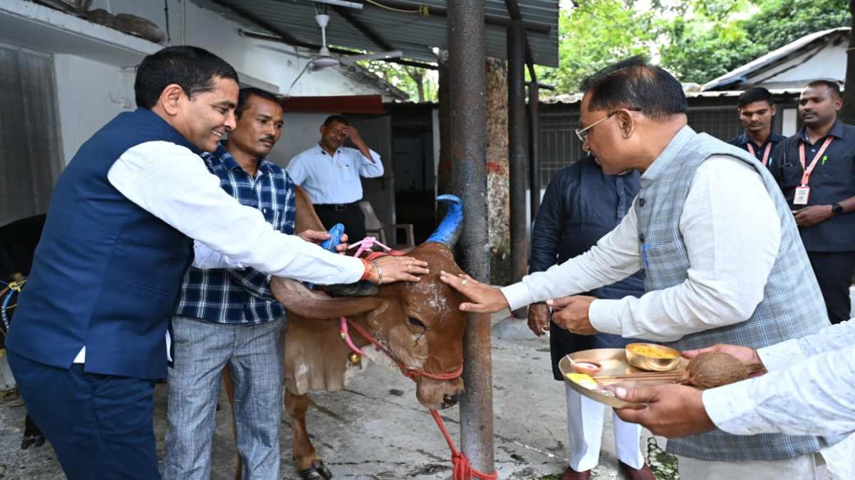 गोवर्धन पूजा : मुख्यमंत्री की सहजता ने एक बार फिर  मोहा सबका मन, CM साय ने सीएम हाउस में की गौवंश की पूजा …
