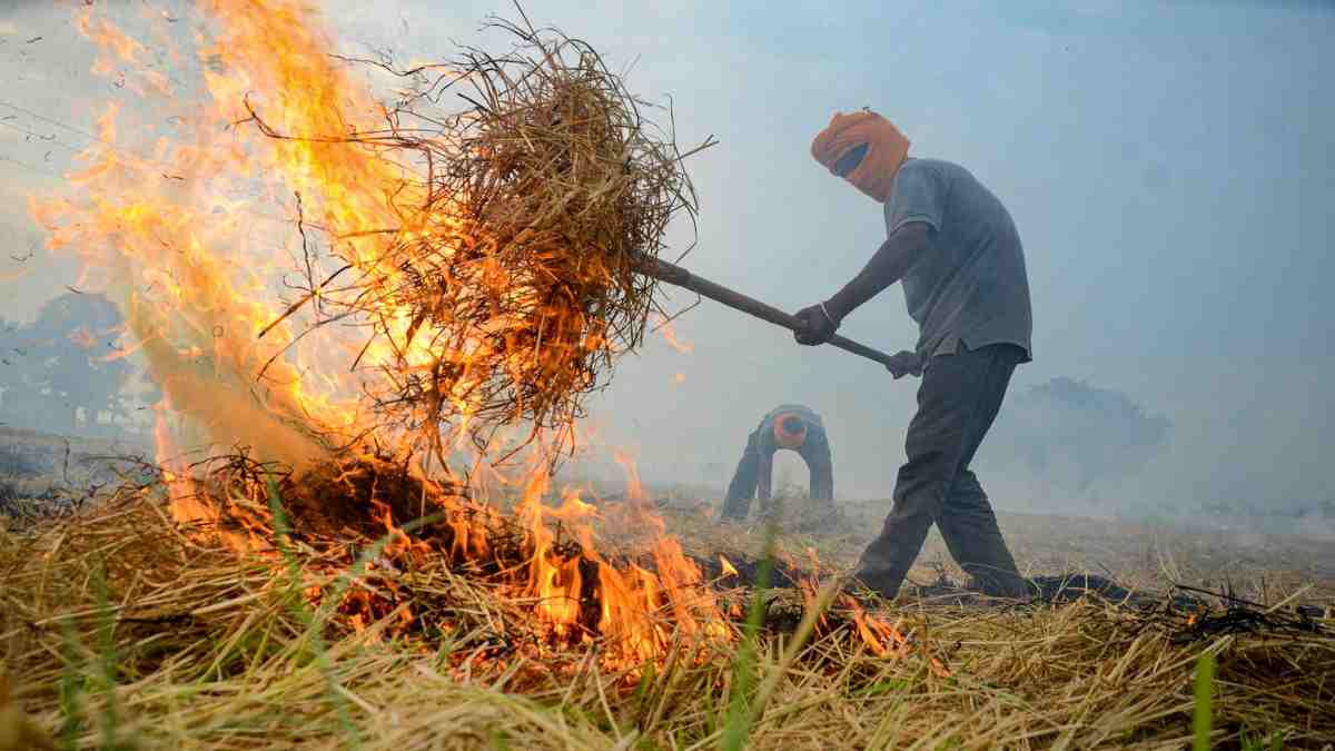 Parali Burning: पलारी जलाने में रोकथाम नहीं कर पाने वाले अधिकारी हुए सस्पैंड…