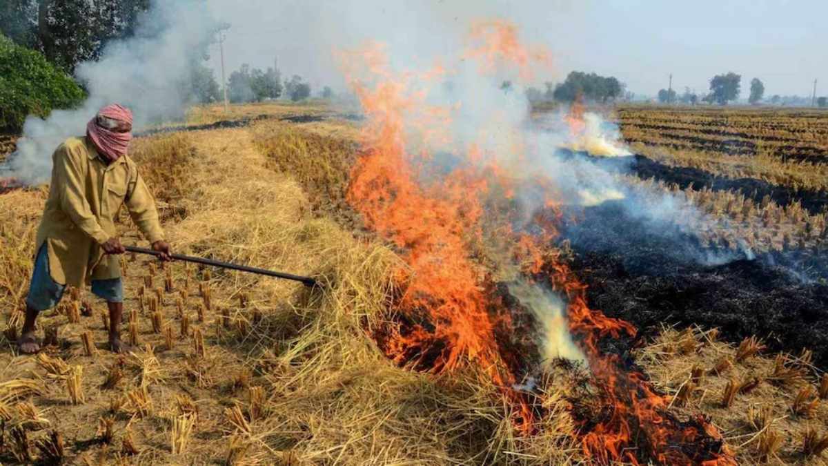 अन्नदाता हो जाएं सावधान! पराली जलाने वाले किसानों से होगी दोगुनी वसूली, जानिए कितना लगाया जाएगा जुर्माना