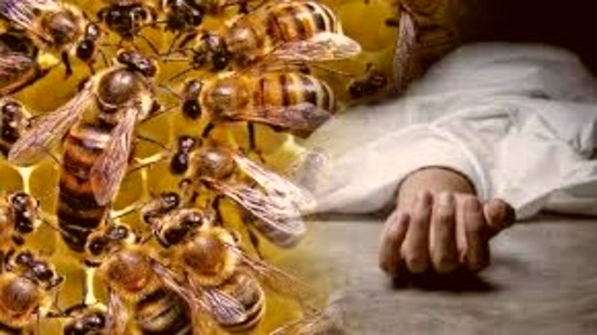 ‘मौत’ का जहरीला डंक: मधुमक्खियों के झुंड ने लोगों पर बोला हमला, रिटायर्ड फौजी की गई जान, 2 की हालत गंभीर