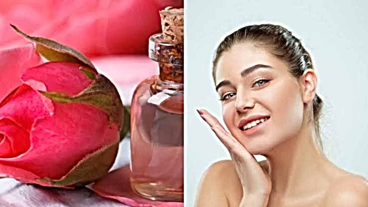 Winter Skin Care: चेहरे पर निखार लाने के लिए गुलाब जल में क्या मिलाना चाहिए…