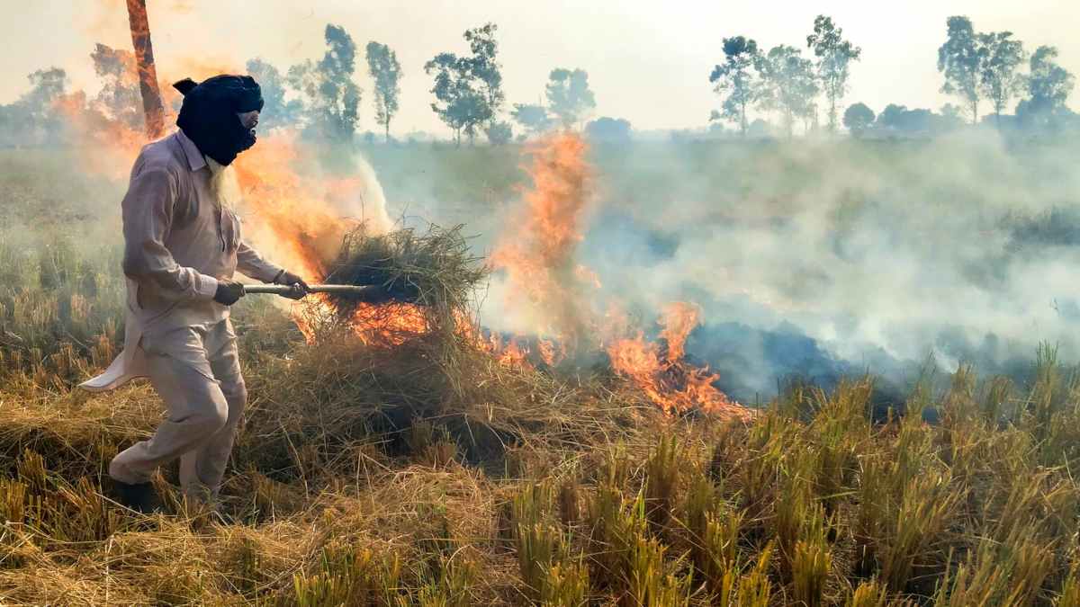 Stubble Burning: पराली जलाने की घटनाओं को कम करने बनाई नई योजना…