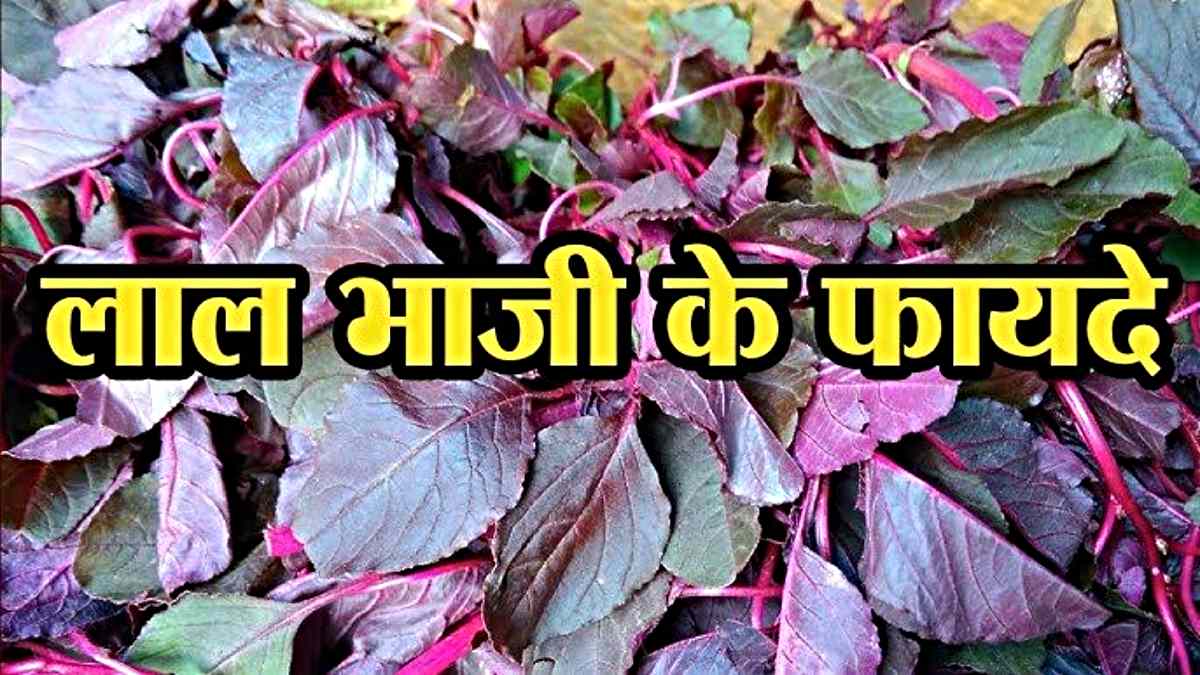 Lal Bhaji है गुणों का भंडार, एक बार इसके फायदे जान गए तो आप भी खाएंगे बड़े चाव से…