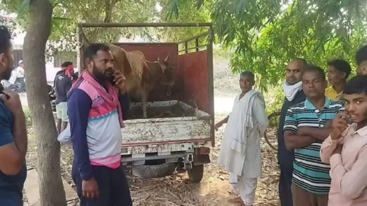 जान ले गया गुटखाः पिकअप से जा टकराई बाइक, मौके पर ही युवक की मौत, मामला जानकर रह जाएंगे हैरान…