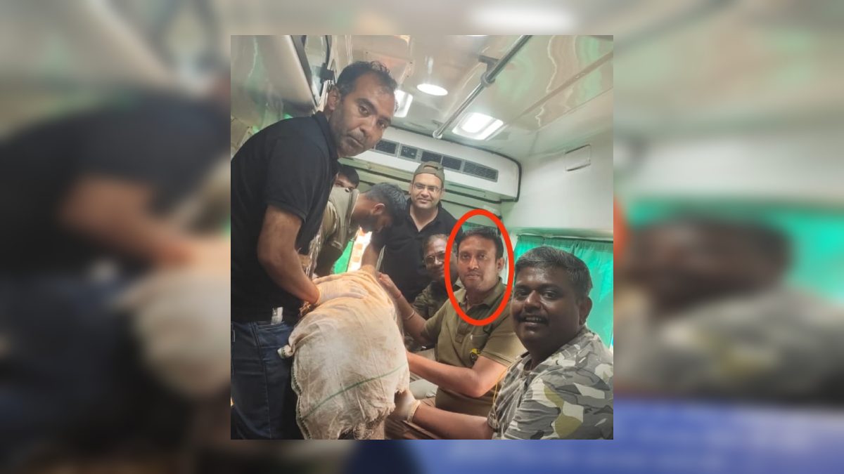BTR में 11 हाथियों की मौत के बाद प्रशासनिक सर्जरी: वन्यप्राणी स्वास्थ्य अधिकारी का हुआ ट्रांसफर, आदेश जारी