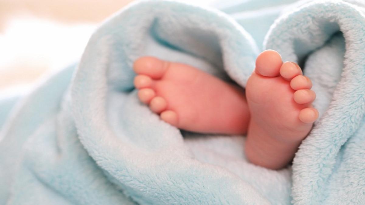 बस 19 दिन का ही साथ था…मां के बाजू में सो रही थी बच्ची, आधी रात उठा ले गया आदमखोर, नींद खुली तो नजारा देख उड़ गए होश