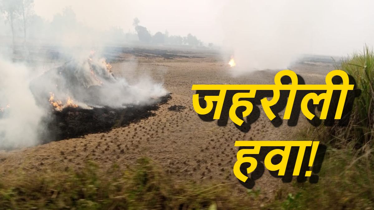 आंख जलाने वाली हवा! मनाही के बाद भी बेखौफ पराली जला रहे किसान, शासन-प्रशासन भी बना पंगू, जुर्माना तो लगाता है पर चुनाव आते ही खत्म कर दिया जाता है केस