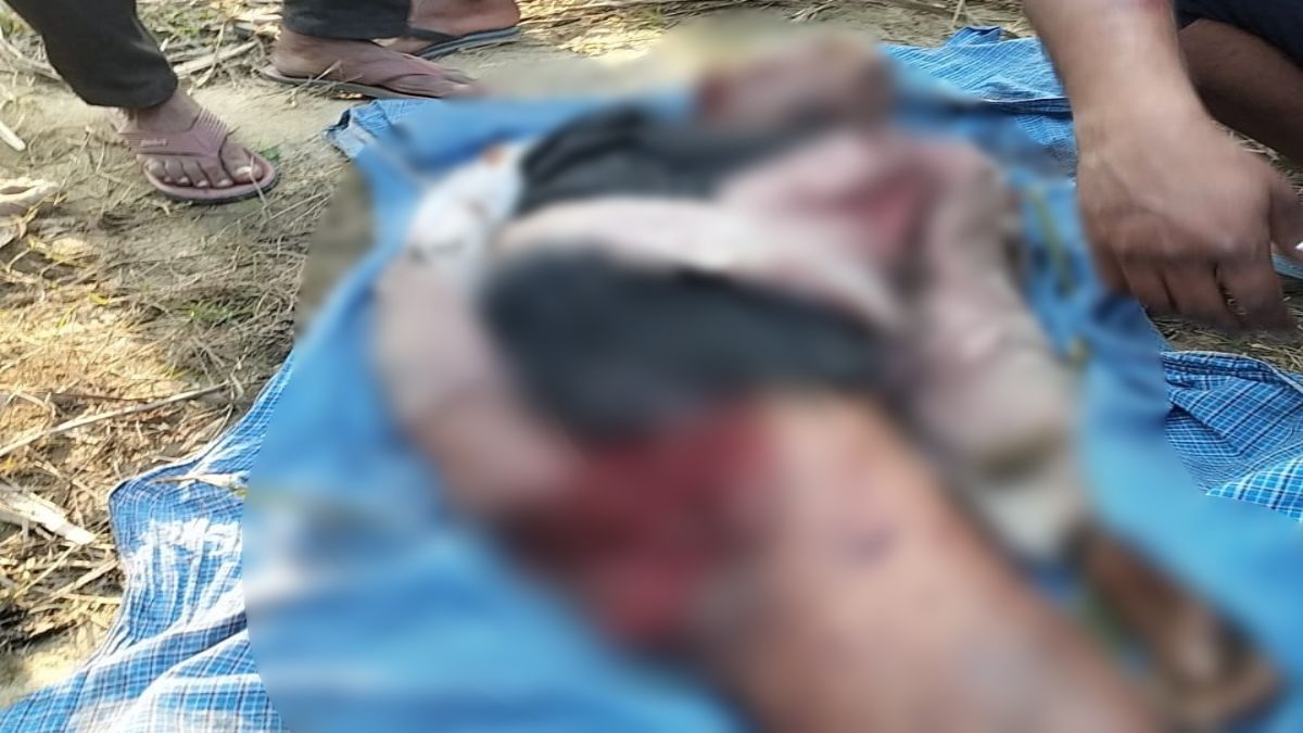 यूपी में फिर से आदमखोर की आमद : खेत में काम कर रहे बुजुर्ग को बनाया निवाला, खा गया एक पैर, लाश देख सिहर उठे लोग