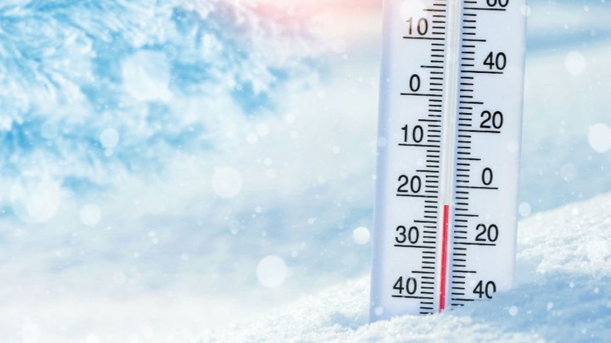 ठंड और कोहरे की आगोश में उत्तर प्रदेश! मौसम विभाग ने जारी की ये चेतावनी