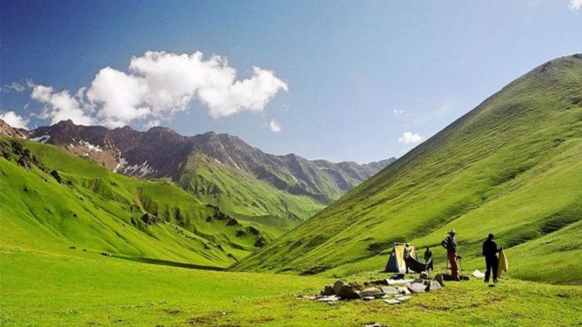 Uttarakhand News: बुग्याल के संरक्षण के लिए वन विभाग तैयार करेगी SOP, जानिए क्या है वजह…