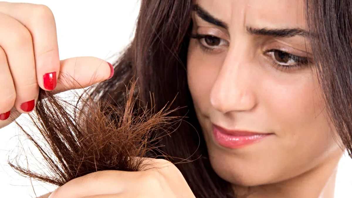 Split Ends Hair Tips: सर्दियों में बढ़ जाती है दोमुंहे बालों की समस्या, इस एक उपाय से पाएं निजात…