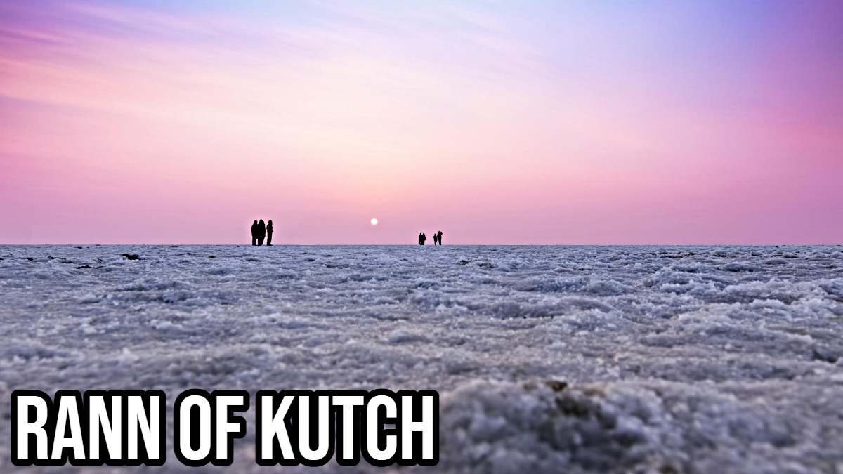 Rann of Kutch: रेगिस्तान की टेंट सिटी दुनिया भर के पर्यटकों को आकर्षित कर रही है…
