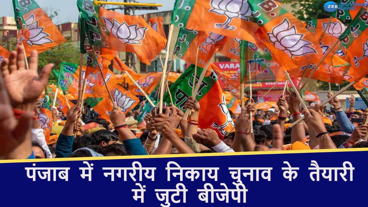 Punjab News: नगरीय निकाय और परिषद चुनावों की तैयारियों में जुटी बीजेपी, कई वरिष्ठ नेताओं को सौंपी जिम्मेदारी