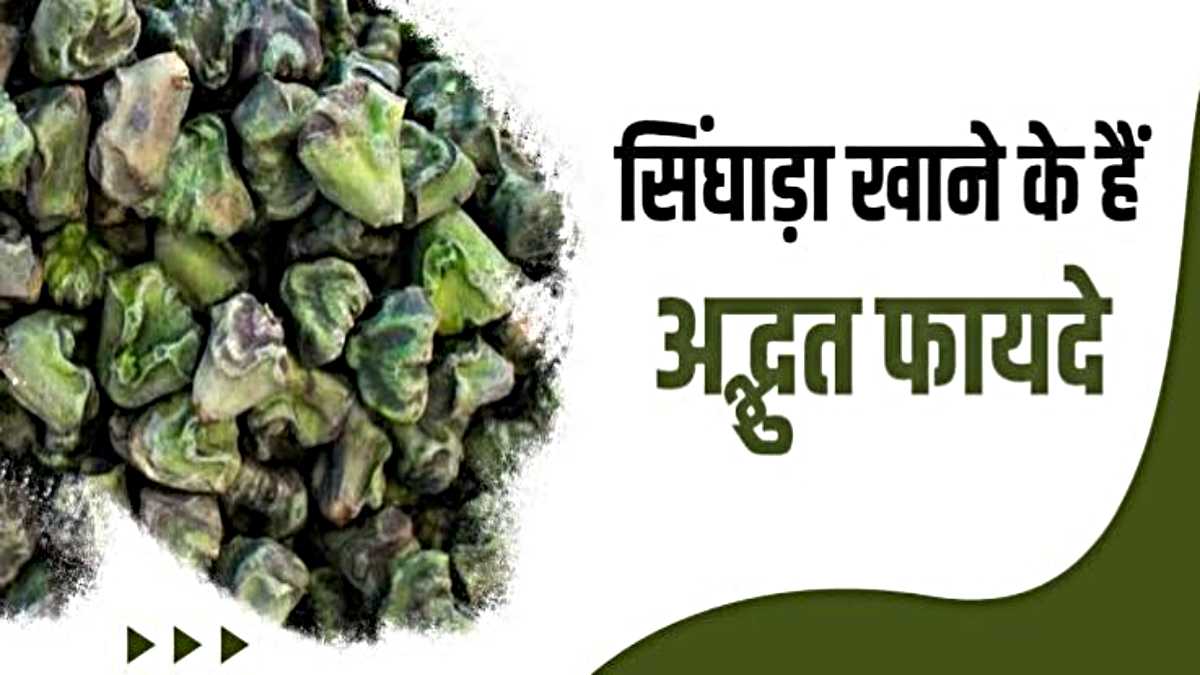 Singhare Ke Fayde: बहुत फायदेमंद होता है सिंघाड़ा, बालों को मजबूत करने के साथ स्किन भी होती है ग्लोइंग…