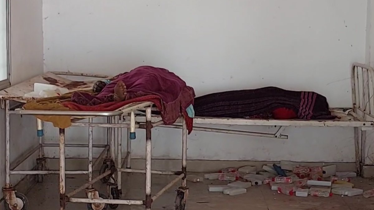 लकड़ी लेने जंगल गए ग्रामीणों पर मधुमक्खियों ने किया हमला, एक की मौत, एक ने भागकर बचाई जान…