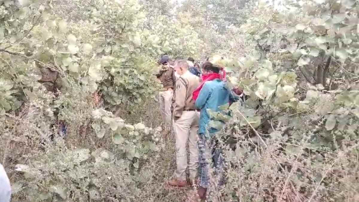 कोरबा के जंगल में मिली पति-पत्नी की लाश, 15 दिन पुराना है शव, इलाके में फैली सनसनी