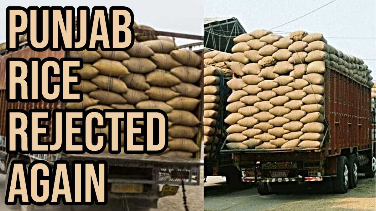 Punjab Rice Rejected: कर्नाटक और अरुणाचल के बाद अब नागालैंड ने भी पंजाब के चावल लेने से किया इनकार, तीसरी खेप भी लौटी वापस…