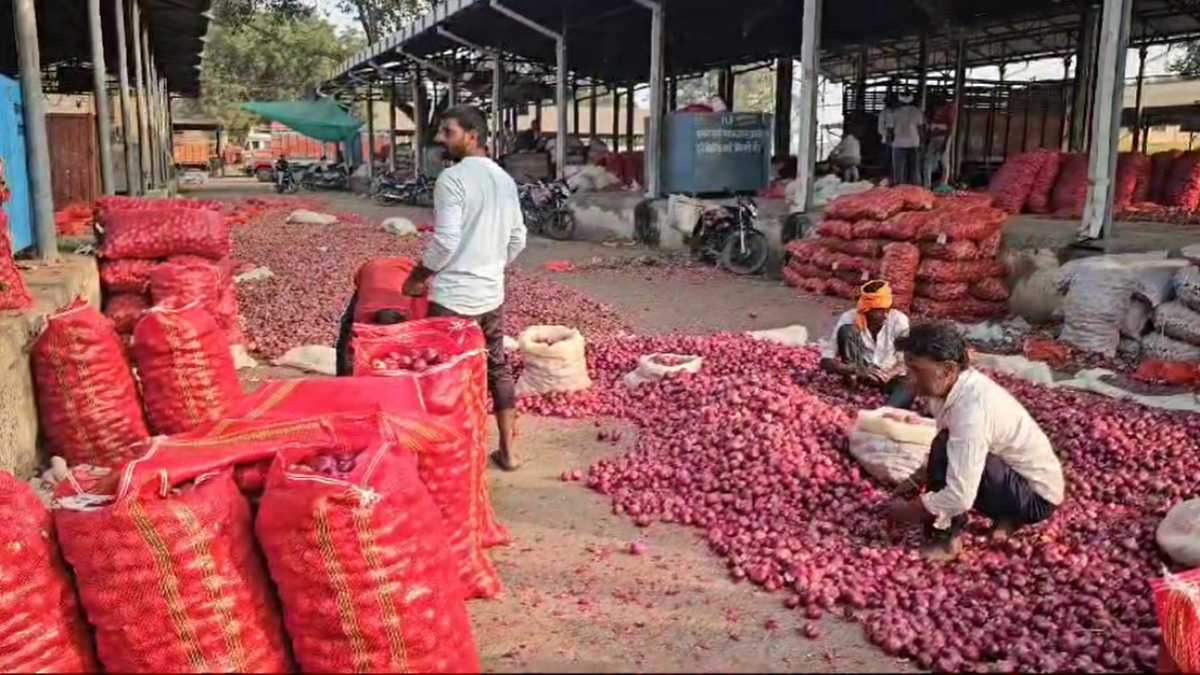महंगाई से थोड़ी राहत: मंडी में प्याज की बंपर आवक, 60 रुपए किलो वाला प्याज 30 रुपए का हुआ