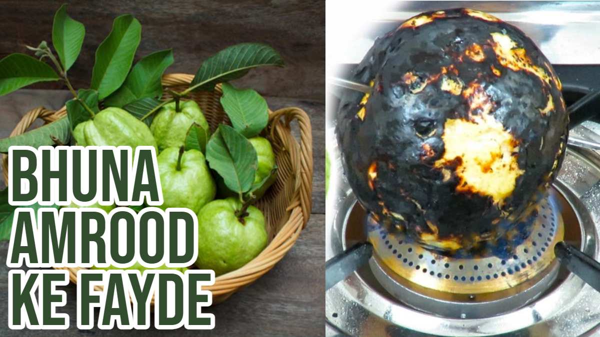 Bhuna Amrood ke Fayde: भुना हुआ अमरूद खाना होता है बहुत फायदेमंद, यहाँ जाने इसके सेवन के लाभ…